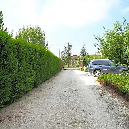 Torricella